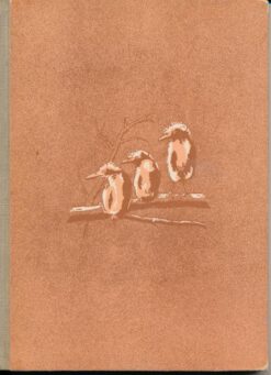 Aus der Kinderstube der Tiere