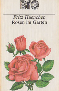 Rosen im Garten