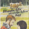 Blaulichts verrückter Tag