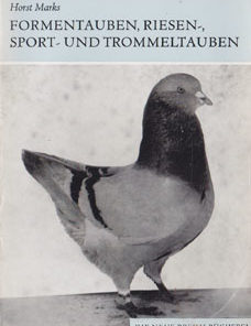 Formentauben Riesen- Sport- und Trommeltauben