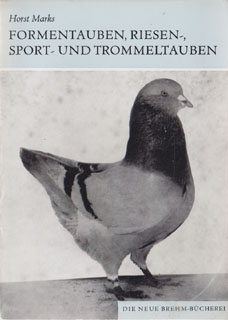 Formentauben Riesen- Sport- und Trommeltauben