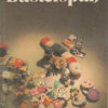 Bastelspaß