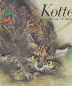Kotte
