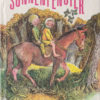 Sonnenfenster