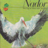 Nador
