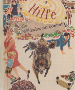 Hilfe ein Wildschwein kommt