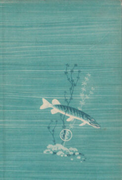 Die Schilfhütte am silbernen See