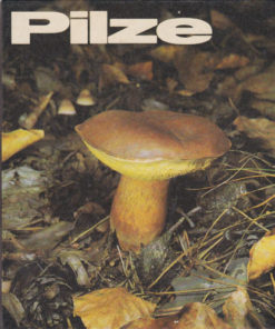 Pilze