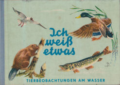 Ich weiß etwas - Tierbeobachtungen am Wasser