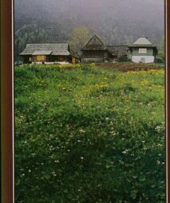 Orava