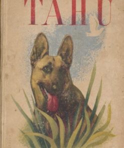 Tahu