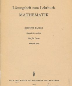 Lösungsheft zum Lehrbuch Mathematik sechste Klasse