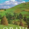 Orava
