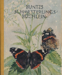 Buntes Schmetterlingsbüchlein   DDR-Buch
