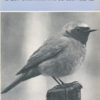 Der Gartenrotschwanz   DDR-Buch