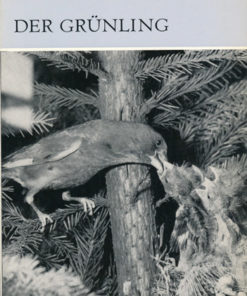 Der Grünling   DDR-Buch
