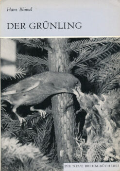 Der Grünling   DDR-Buch