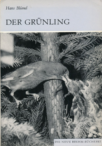 Der Grünling   DDR-Buch