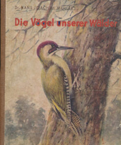 Die Vögel unserer Wälder   DDR-Kinderbuch