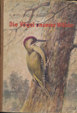 Die Vögel unserer Wälder   DDR-Kinderbuch