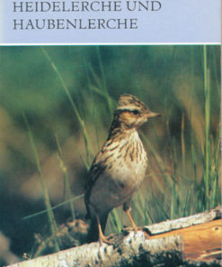 Heidelerche und Haubenlerche  DDR-Buch
