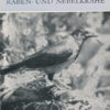 Raben- und Nebelkrähe  DDR-Buch