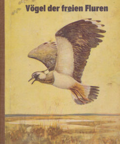 Vögel der freien Fluren   DDR-Kinderbuch
