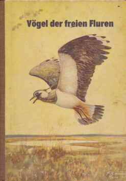 Vögel der freien Fluren   DDR-Kinderbuch
