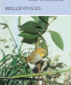 Der indische Brillenvogel