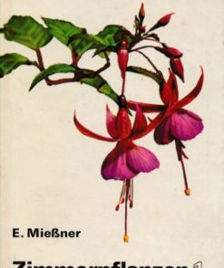 Zimmerpflanzen 1