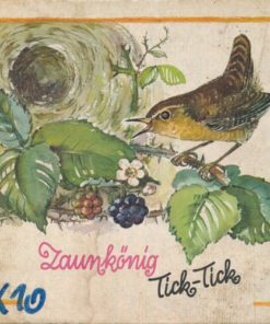 Zaunkönig Tick-Tick