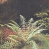 Biologie Klasse 7 DDR-Lehrbuch