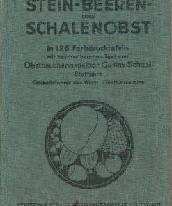Stein-Beeren- und Schalenobst