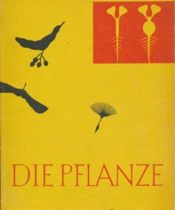 Die Pflanze  DDR-Lehrbuch