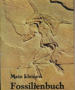 Mein Kleines Fossilienbuch