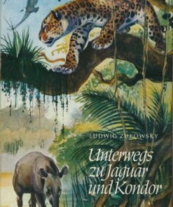 Unterwegs zu Jaguar und Kondor