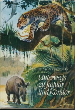 Unterwegs zu Jaguar und Kondor