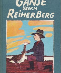 Gänse überm Reiherberg