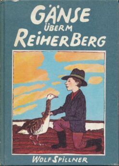 Gänse überm Reiherberg