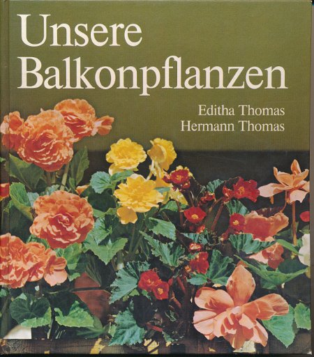 Unsere Balkonpflanzen