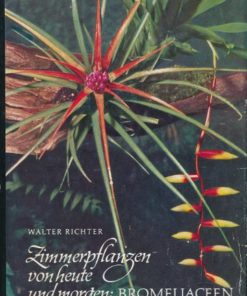 Zimmerpflanzen von heute und morgen: Bromeliaceen