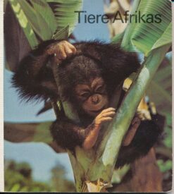 Tiere Afrikas
