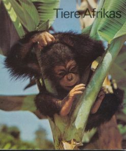 Tiere Afrikas