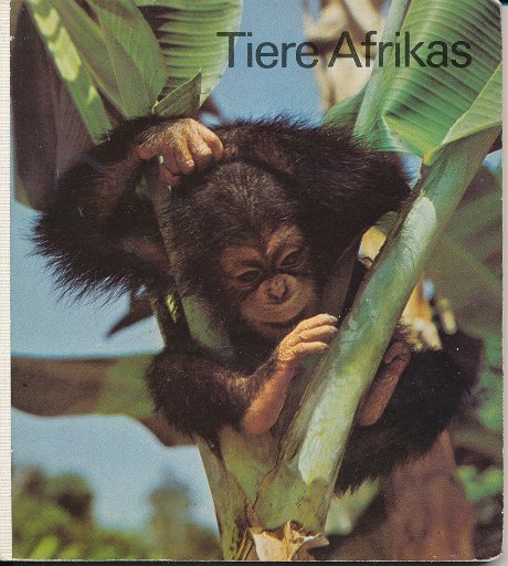 Tiere Afrikas