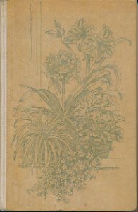 Zimmerpflanzen richtig pflegen