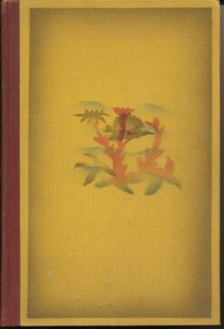 Die Wunder des Meeres