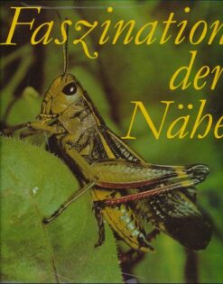 Faszination der Nähe  DDR-Buch