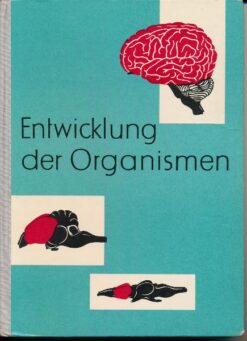 Entwicklung der Organismen – Lehrbuch der Biologie