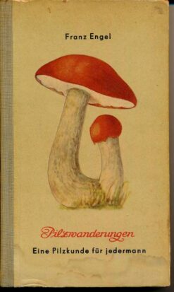 Pilzwanderungen