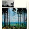shop.ddrbuch.de DDR-Buch; Die Camargue – Vergessenes Land am Rande Europas; mit 71 Farbbildern nach Aufnahmen des Verfassers